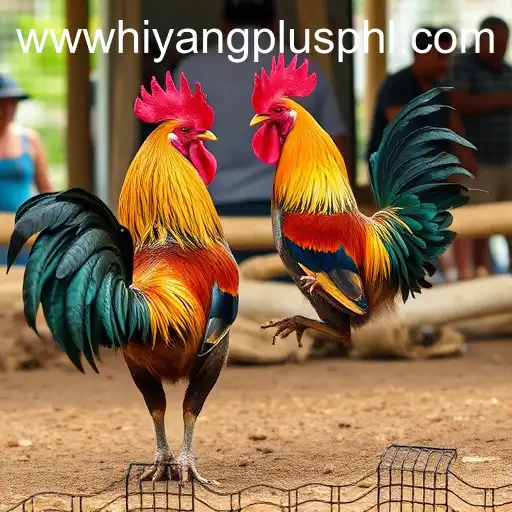 Exploring the World of Sabong Games: The Relevance of Hiyang Plus